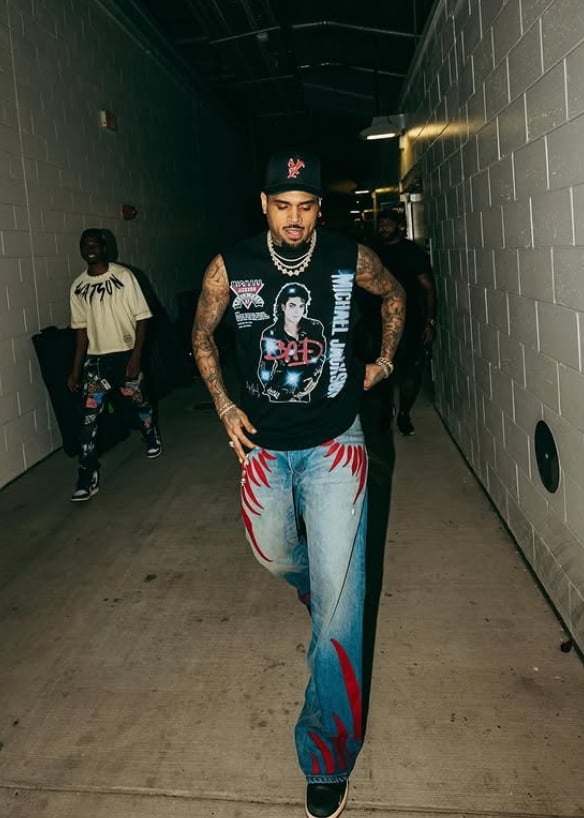 Chris Brown’s $500 Million Lawsuit Over Violence Claims Thrown Out by Judge