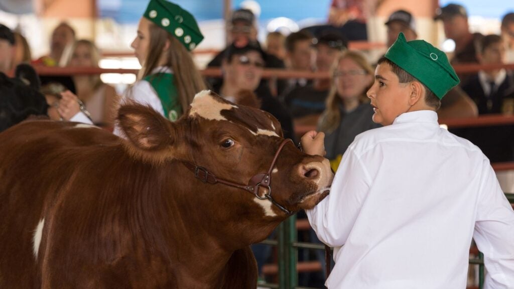 Daryl Dave Daryl Dave