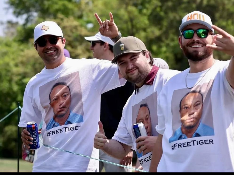 How the Tiger Woods Arrest is Impacting the Co-Parenting Dynamic for Donald Jr and Vanessa Trump