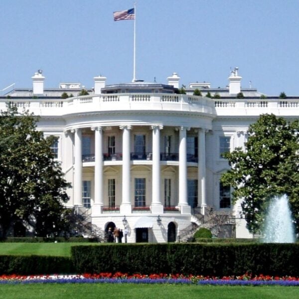 The White House Got Swarmed by Bees for 20 minutes, and the Internet Is Already Calling Them Spy Drones