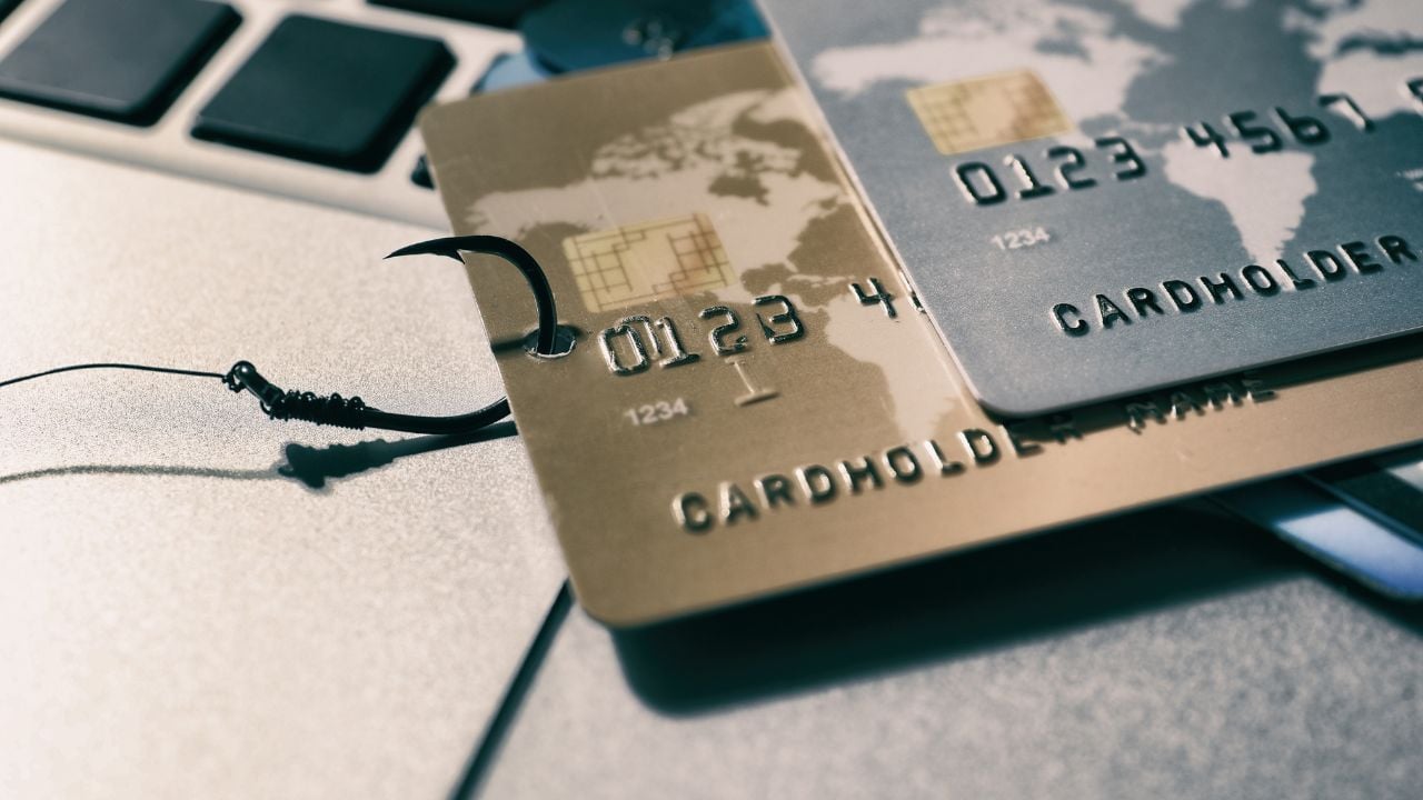 Fishing hook with credit cards