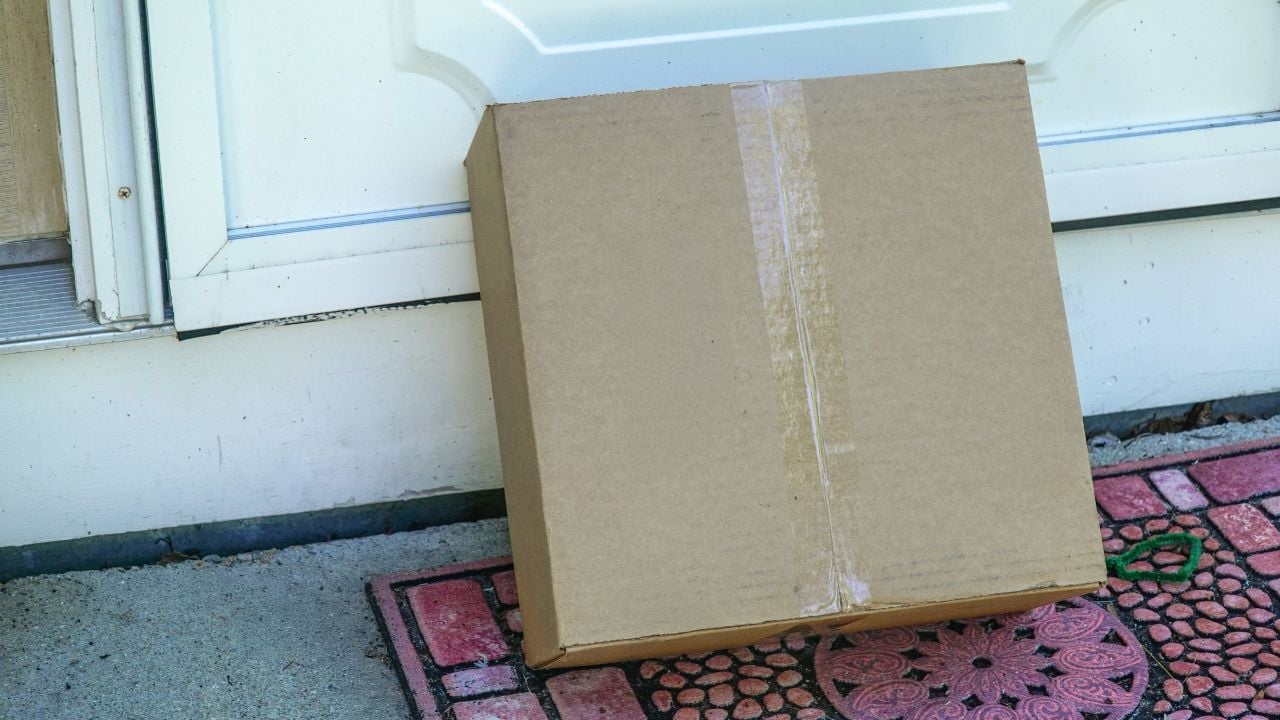 Delivered package