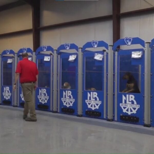 North Little Rock Animal Shelter