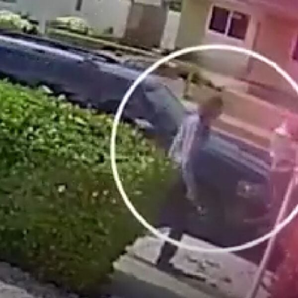 murder suspect