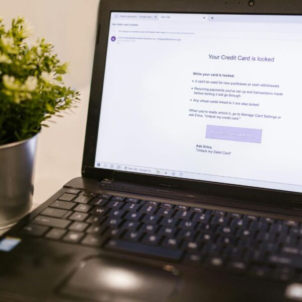 A close-up of a laptop screen showing a credit card security notification next to a potted plant.
