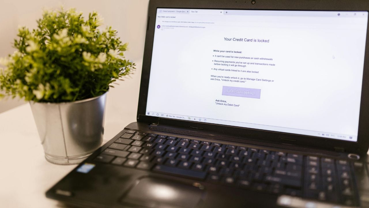 A close-up of a laptop screen showing a credit card security notification next to a potted plant.