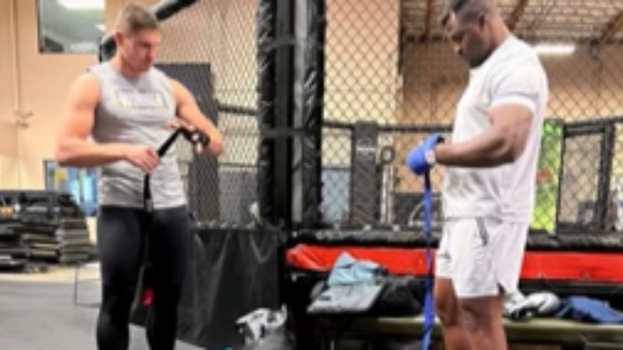 Rico Verhoeven,Francis Ngannou