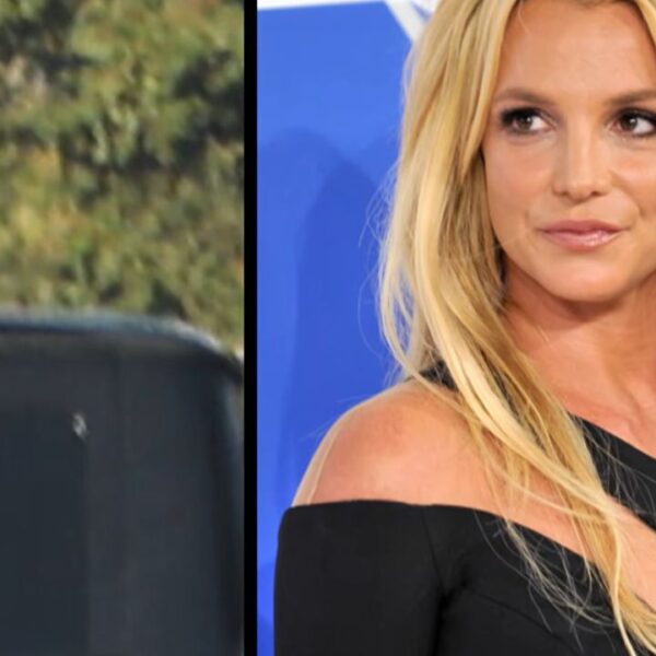 Britney Spears Responds After Freeway Sunroof Photos Spark Safety Concerns