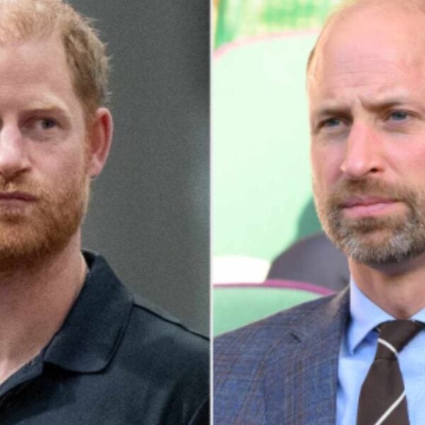Prince William and Prince Harry
