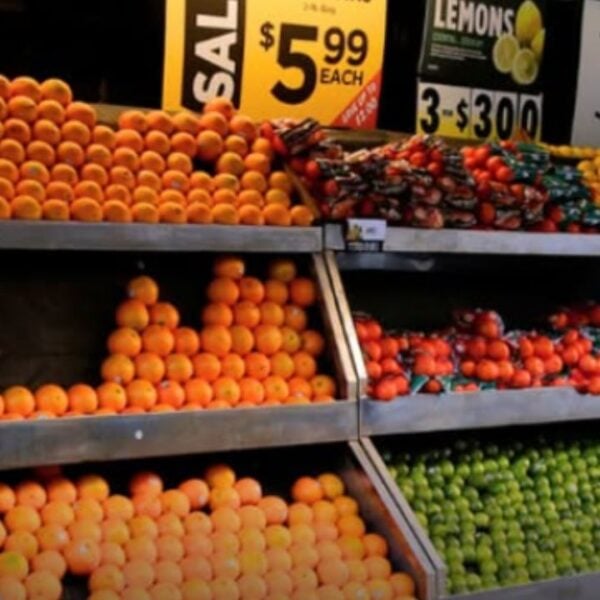 Fruit