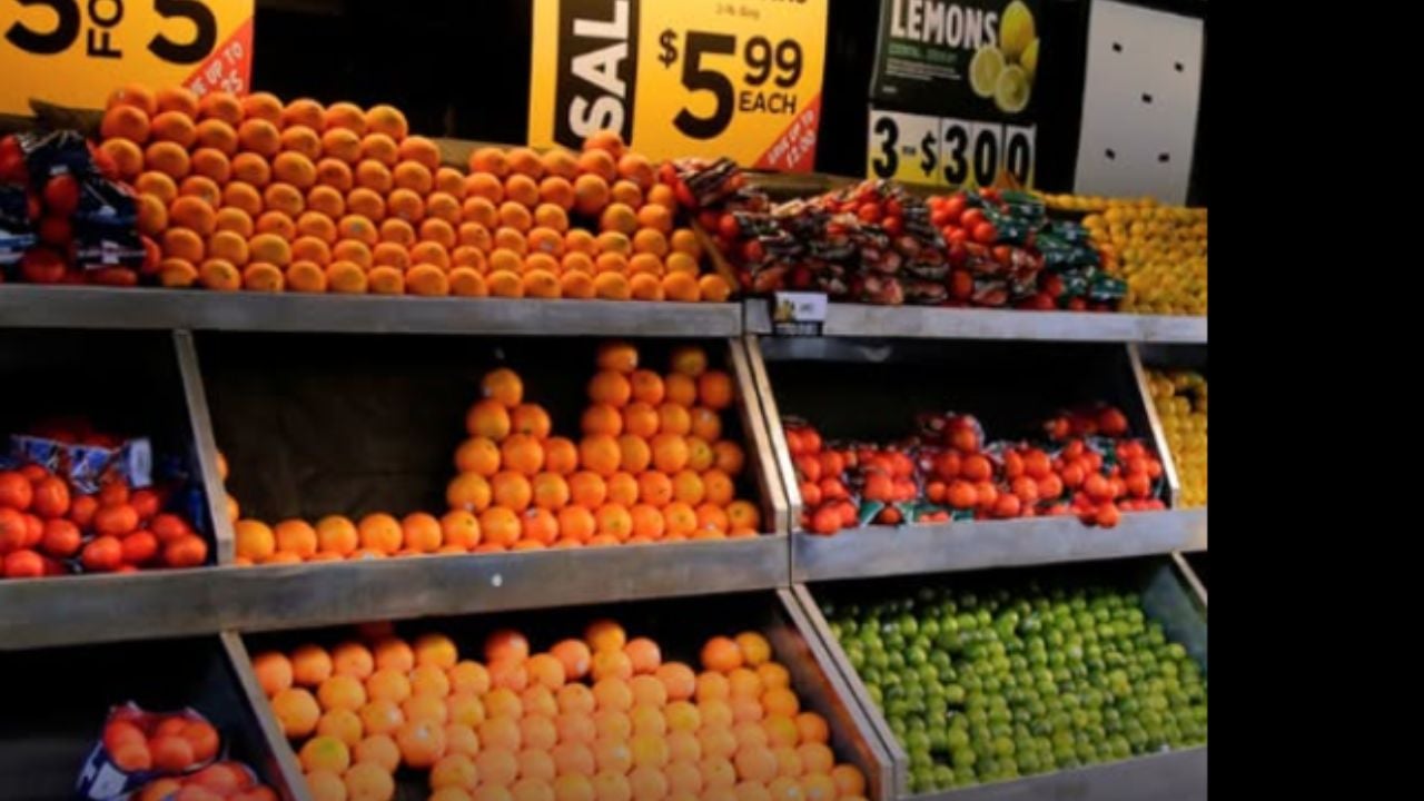 Fruit