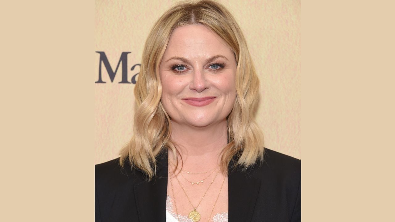 Amy Poehler