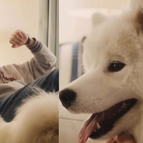 Travis Kelce Brings the Dog He Shares With Taylor Swift Into His First Tommy Hilfiger Campaign