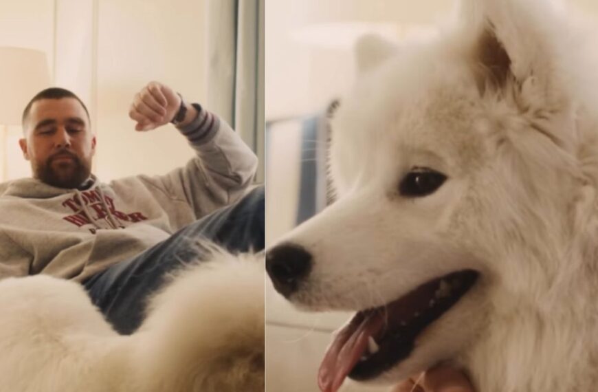 Travis Kelce Brings the Dog He Shares With Taylor Swift Into His First Tommy Hilfiger Campaign