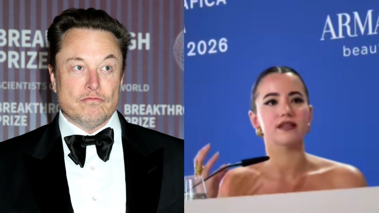 Elon Musk and Ashley