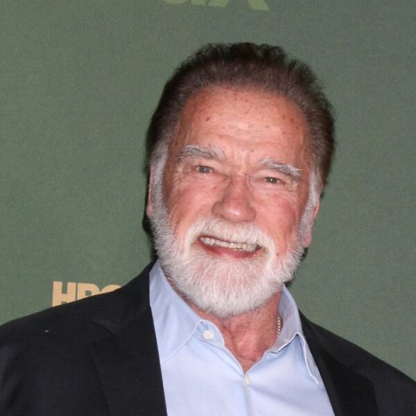 LOS ANGELES - FEB 10: Arnold Schwarzenegger at the White Lotus Season 3 Premiere at Paramount Studios on February 10, 2025 in Los Angeles, CA