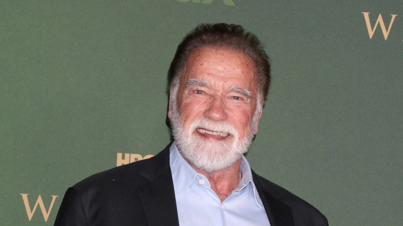 LOS ANGELES - FEB 10: Arnold Schwarzenegger at the White Lotus Season 3 Premiere at Paramount Studios on February 10, 2025 in Los Angeles, CA