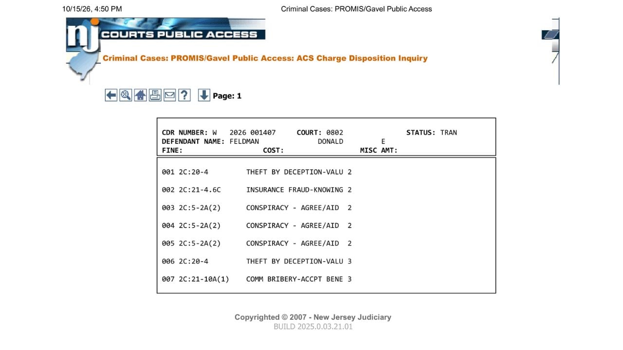 New Jersey Judiciary charge disposition record displaying seven charge entries for Donald Feldman.