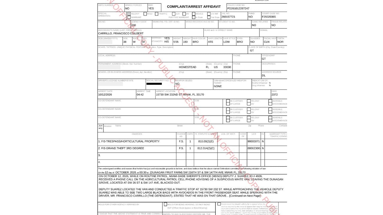 Original Miami-Dade arrest affidavit showing Carrillo's felony allegations and the deputy's observations of the van.
