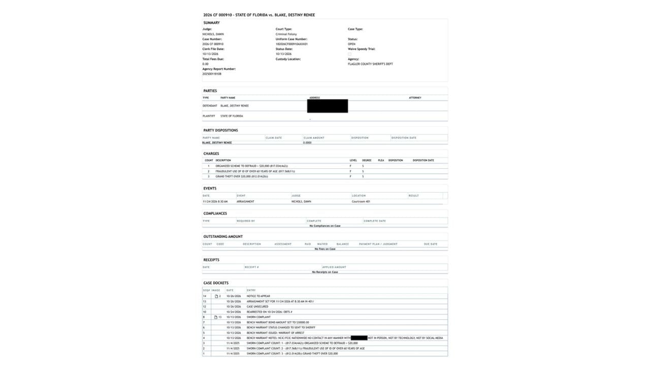 Flagler County criminal case summary showing three pending felony counts and the November 24 hearing.