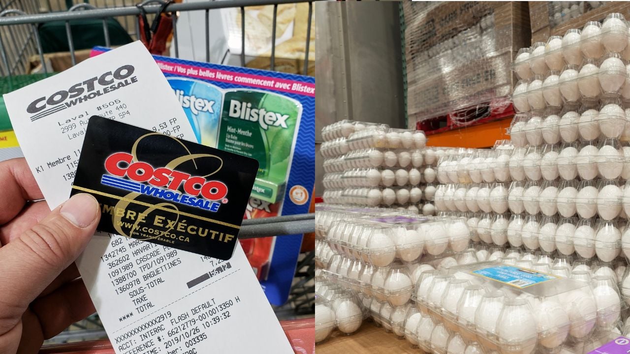 A hand holding a receipt and Costco Executive Membership card in Costco warehouse. Costco is an American corporation which operates a chain of warehouses.