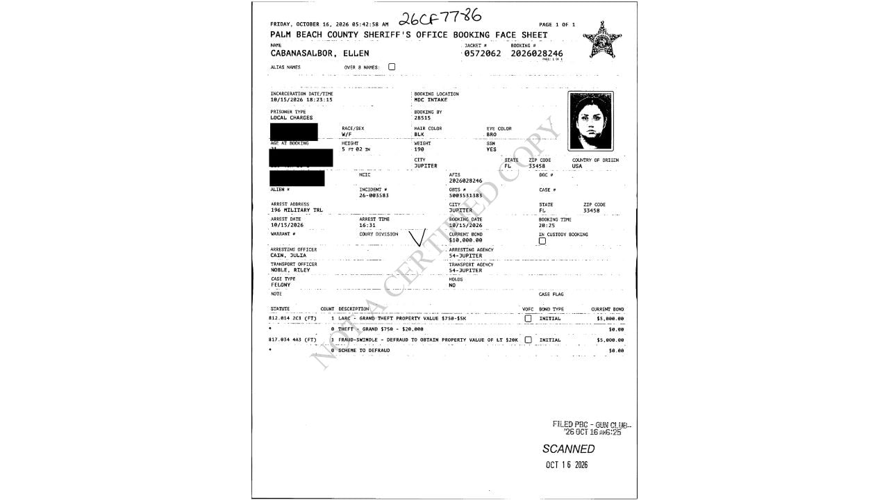 Redacted Palm Beach County sheriff's booking sheet showing Ellen Cabanas Albor's portrait, arrest date and initial charges.